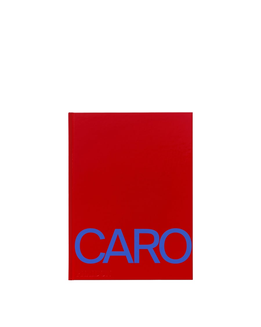 PHAIDON Anthony Caro
