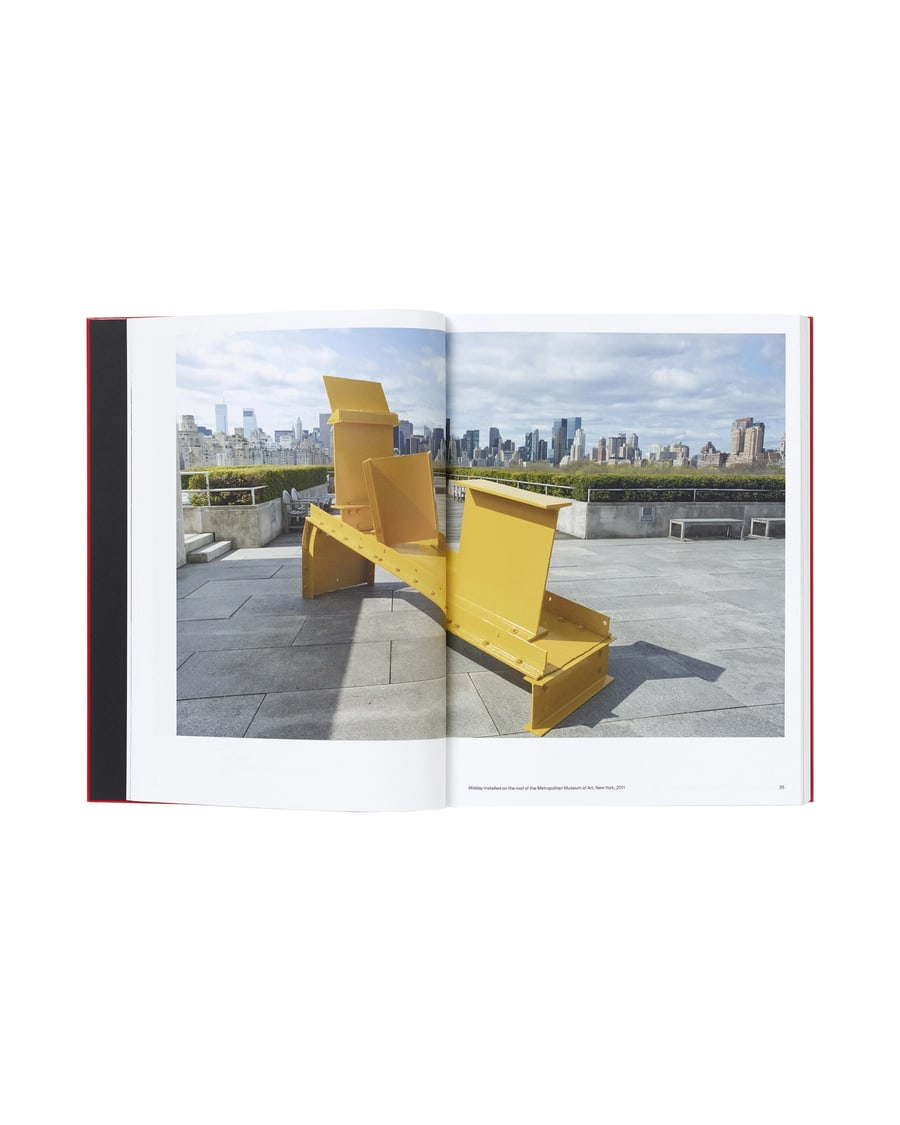 PHAIDON Anthony Caro, view 3