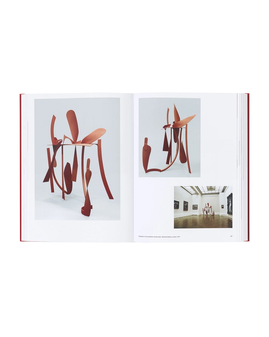 PHAIDON Anthony Caro, view 4