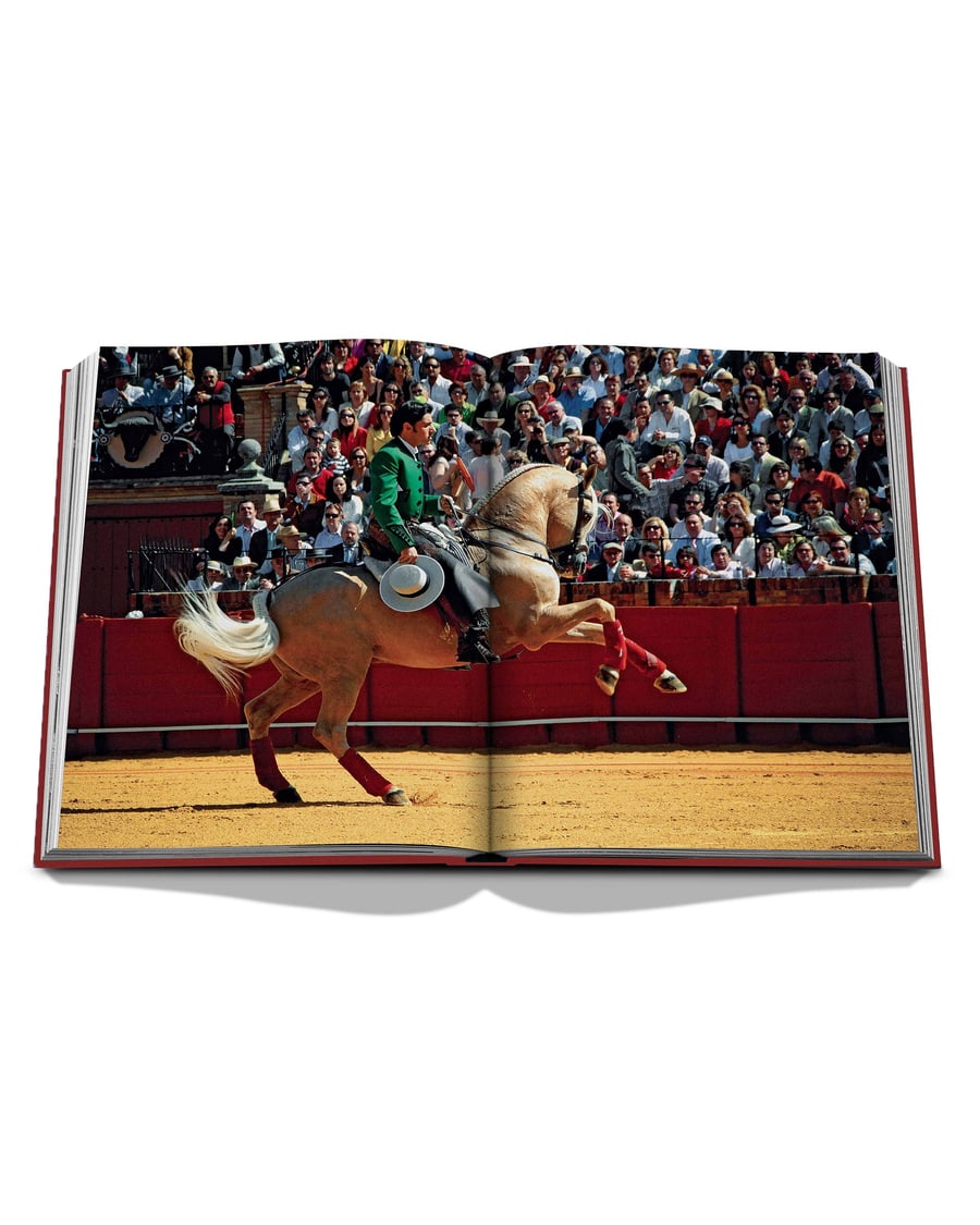 ASSOULINE Sevilla Arte, view 4