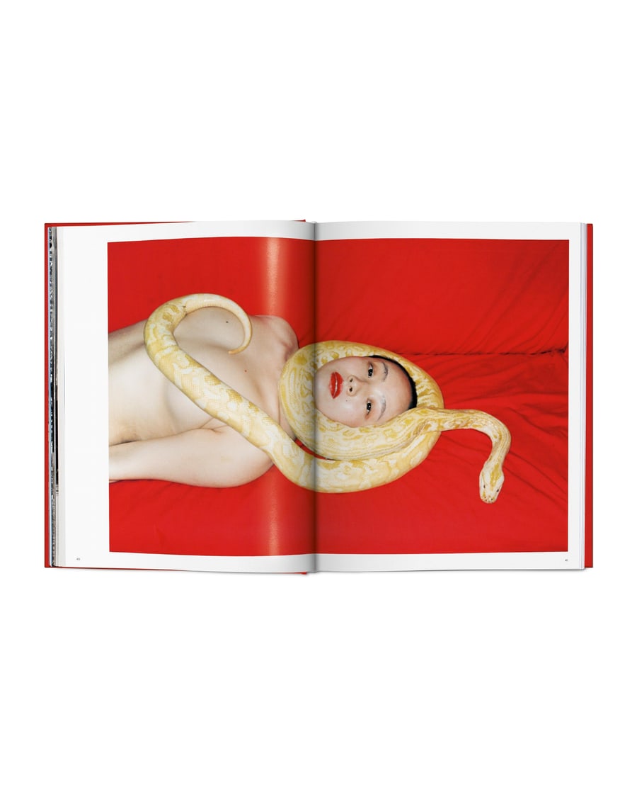 TASCHEN Ren Hang, view 4