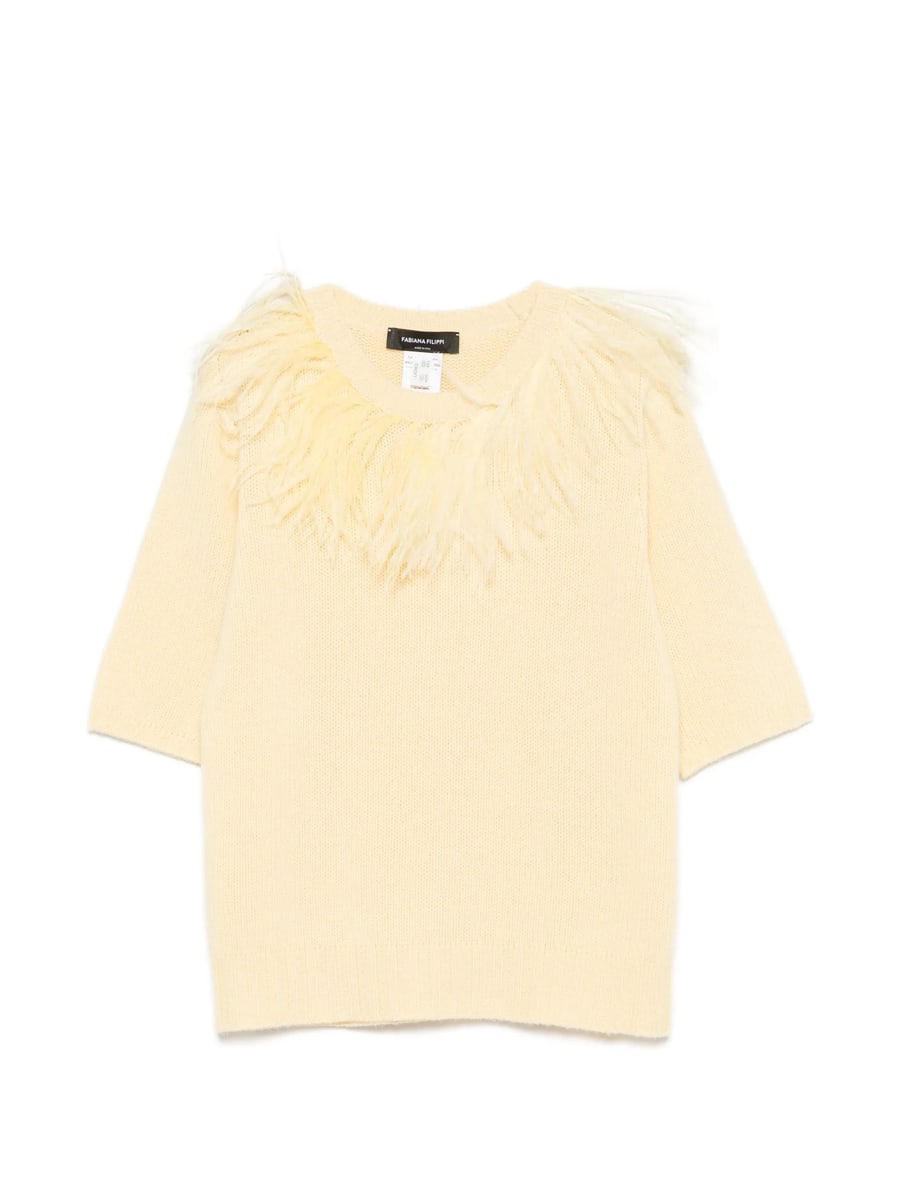Fabiana Filippi Fabiana Filippi Feather-trim Short-sleeve Sweater