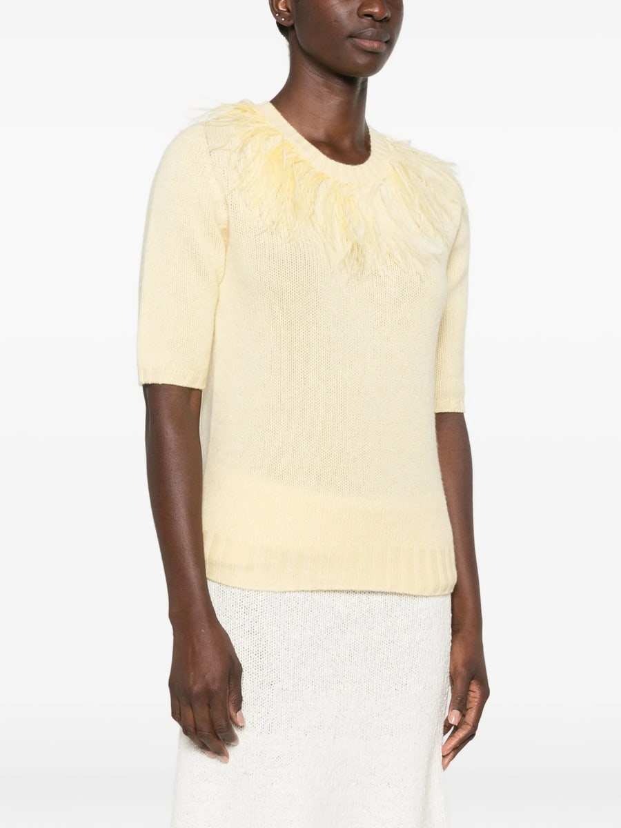 Fabiana Filippi Fabiana Filippi Feather-trim Short-sleeve Sweater, view 2
