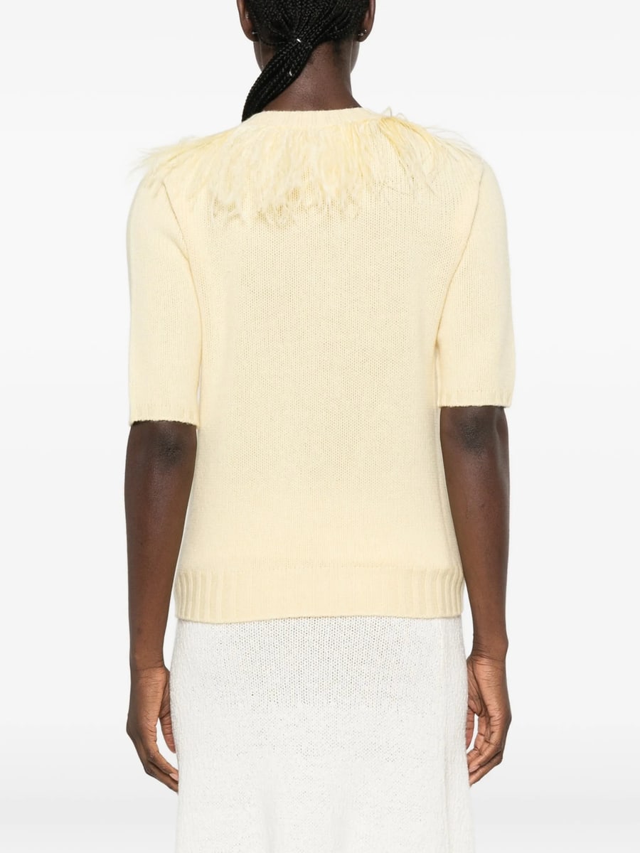 Fabiana Filippi Fabiana Filippi Feather-trim Short-sleeve Sweater, view 4
