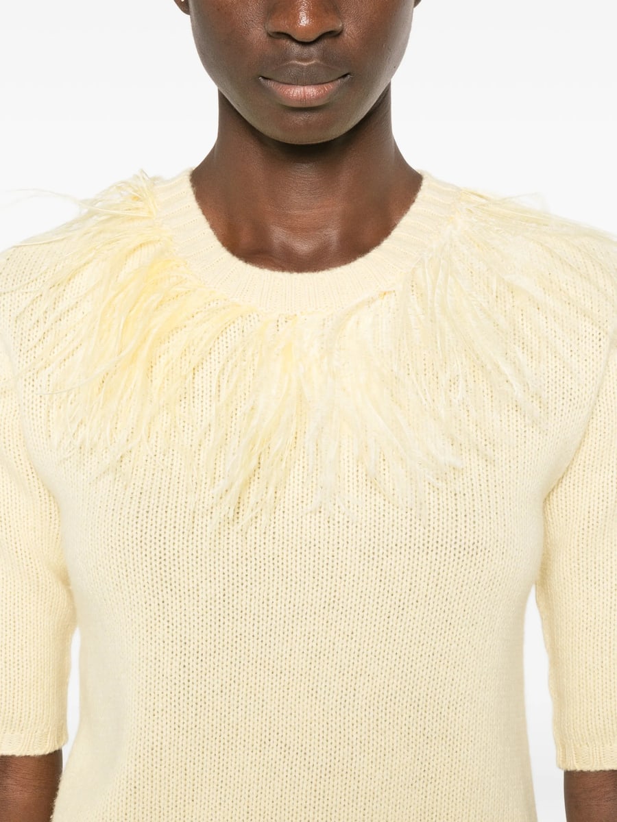 Fabiana Filippi Fabiana Filippi Feather-trim Short-sleeve Sweater, view 5