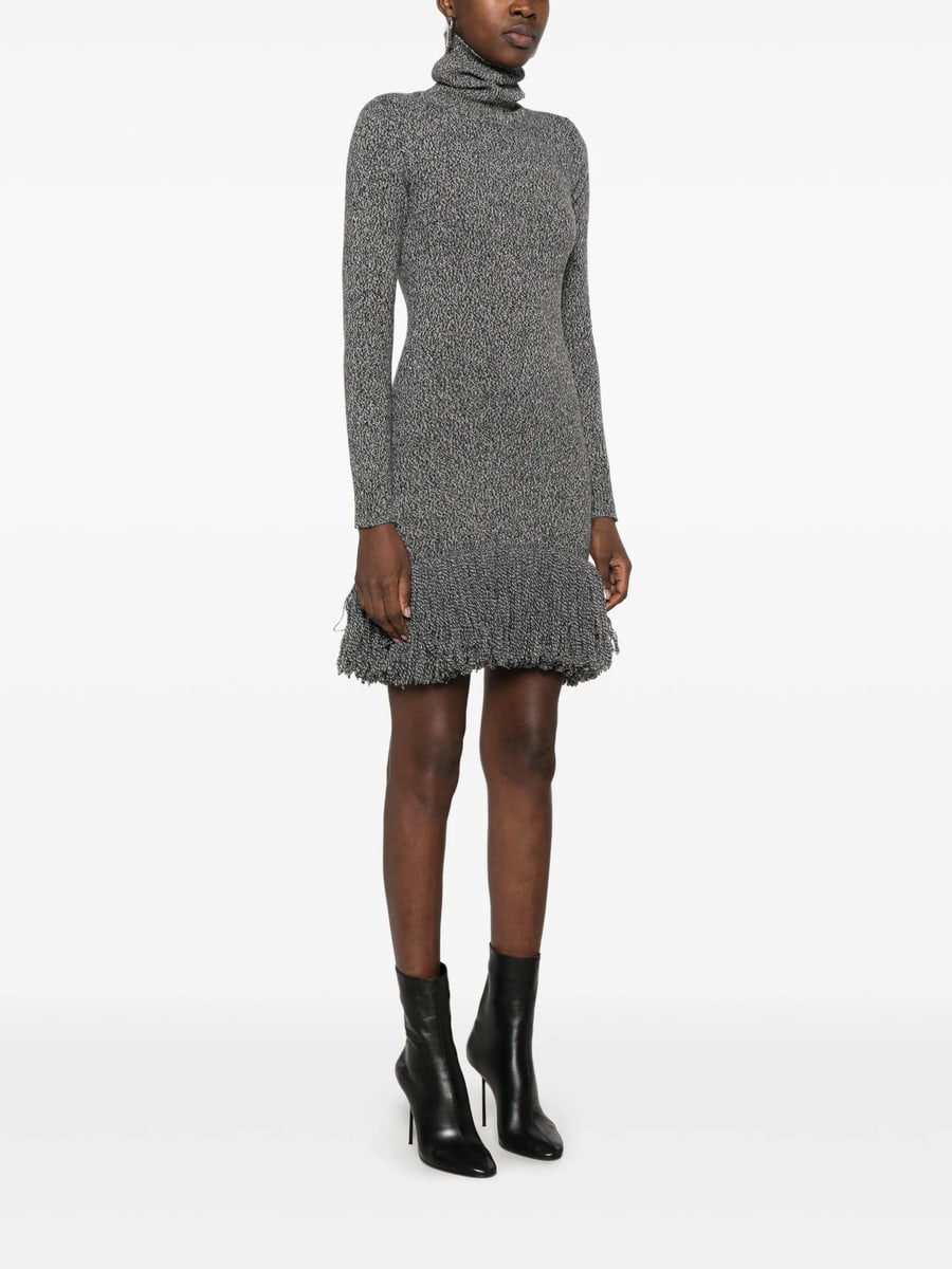 Ely Ely Ely Ely Roll-neck Fringed Mini Dress, view 5