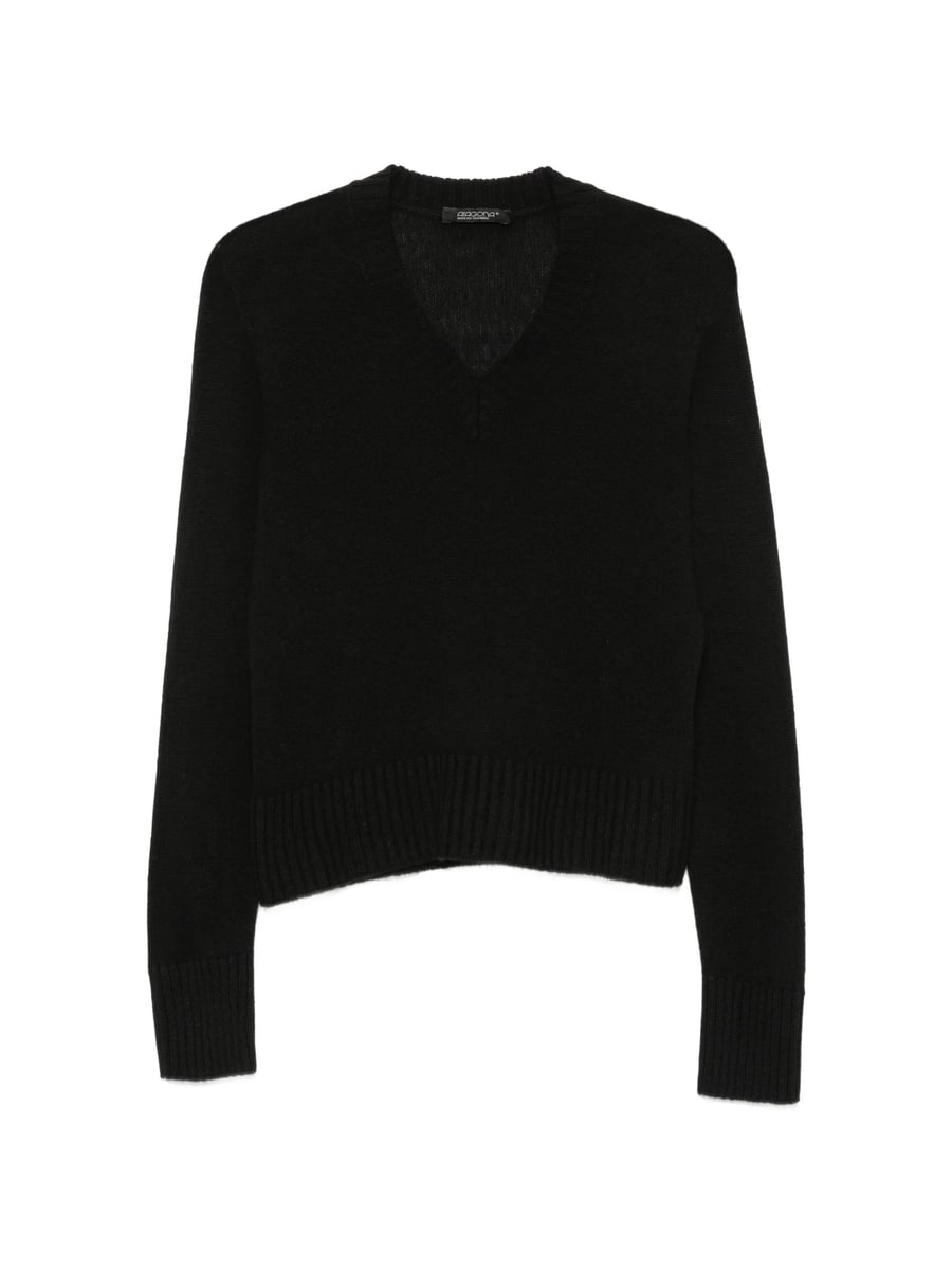 Aragona Aragona V-neck Ribbed-trim Sweater