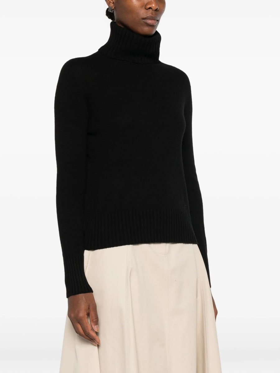 Aragona Aragona Roll-neck Ribbed-trim Sweater, view 5