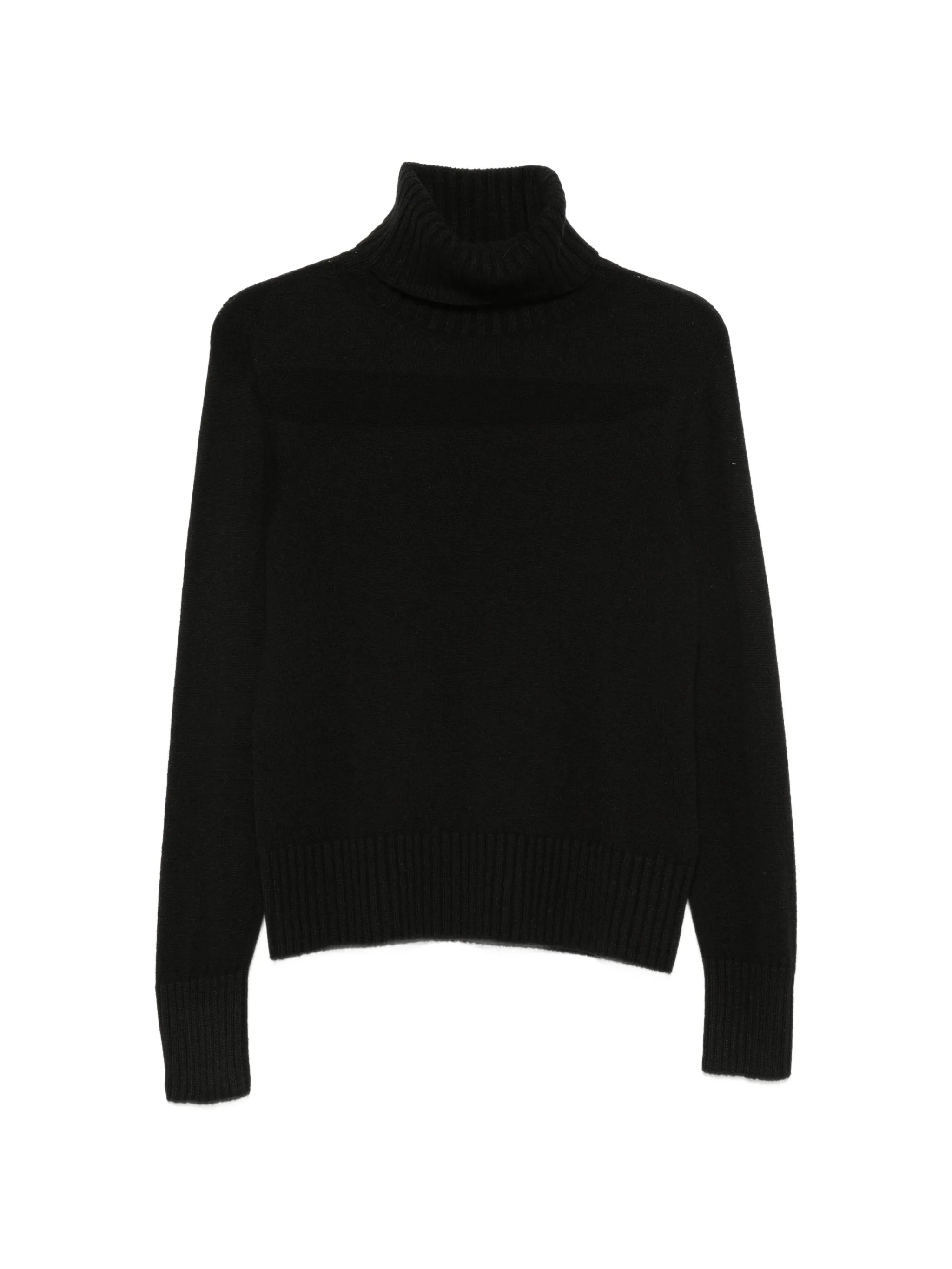 Aragona Aragona Roll-neck Ribbed-trim Sweater