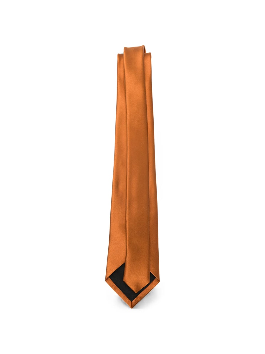 Saint Laurent Saint Laurent Silk Tie, view 3