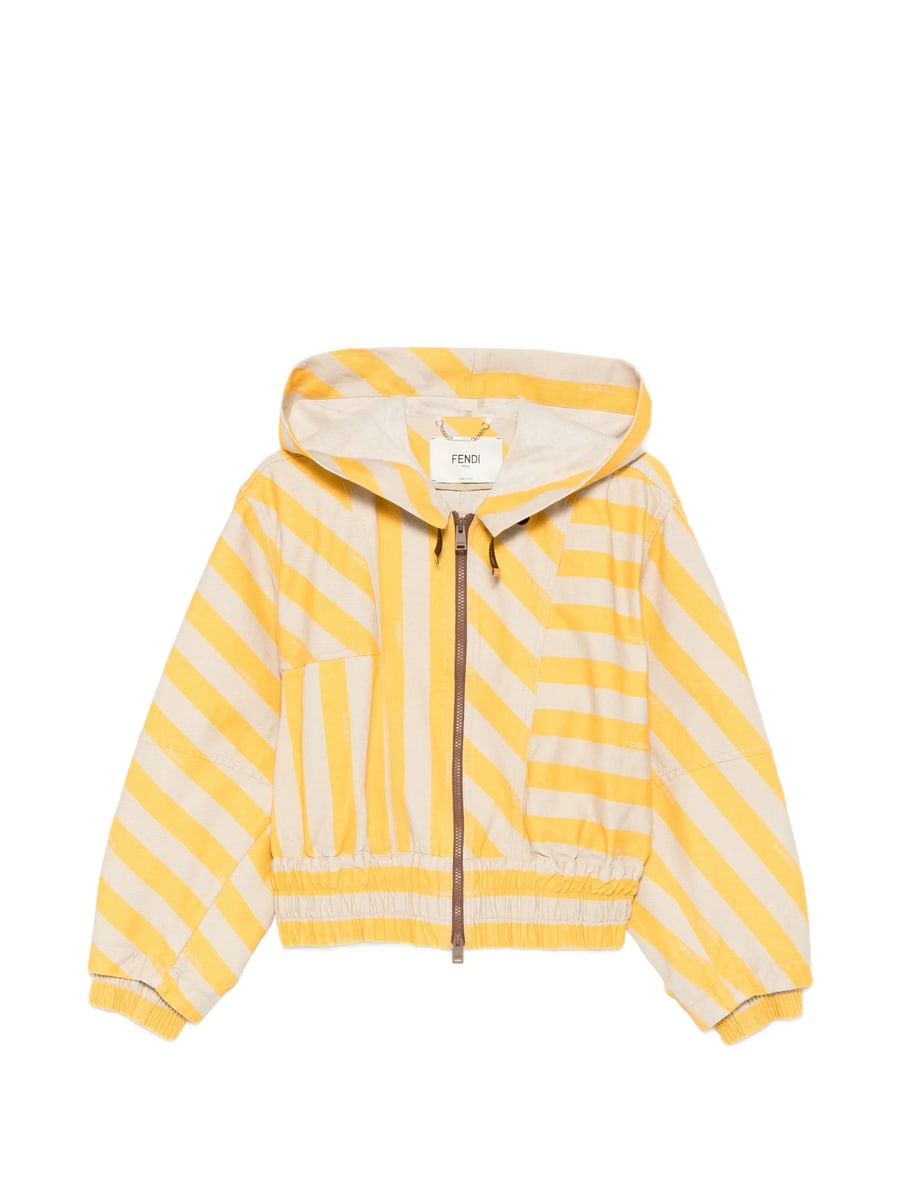 Fendi Fendi Striped Hooded Jacket