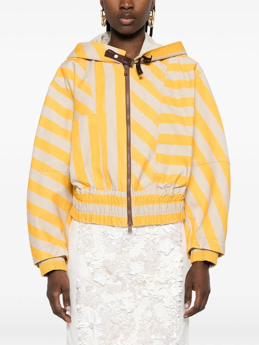 Fendi Fendi Striped Hooded Jacket, view 5