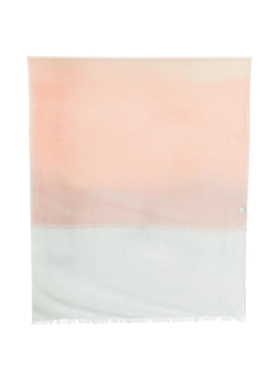 D'aniello D'aniello Fringed Ombré-effect Scarf