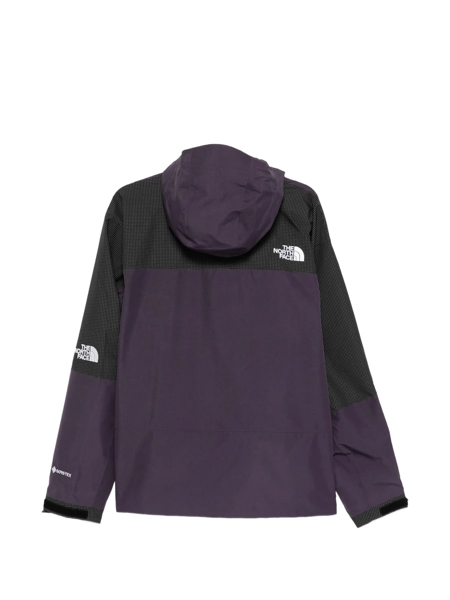 The North Face The North Face Mountain Hooded Jacket, view 2