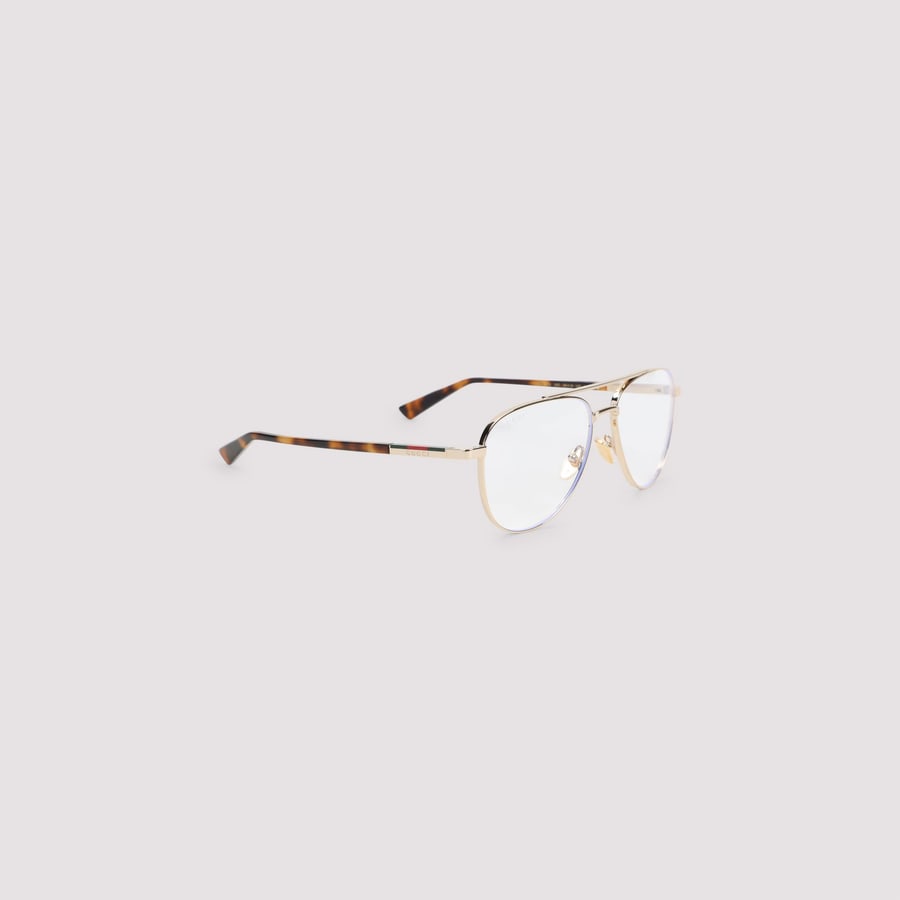Gucci Gucci Acetate Sunglasses
