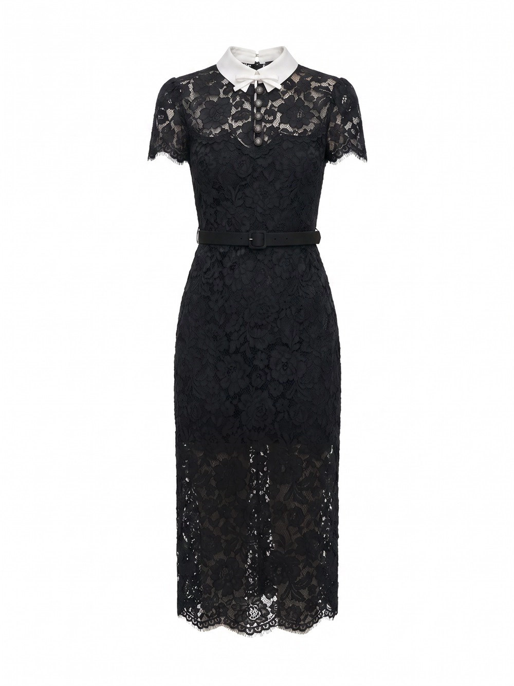 self-portrait Lace Contrast Collar Midi Dress