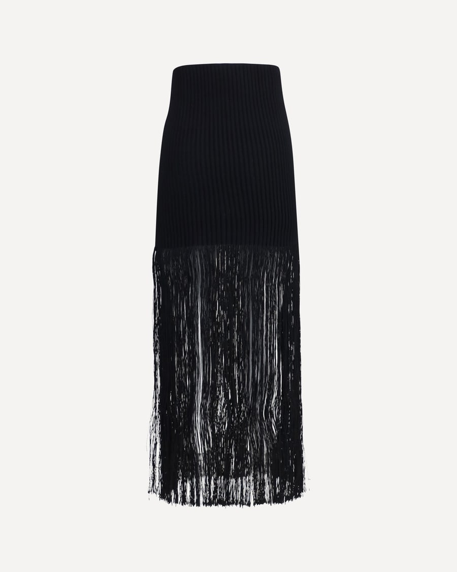 Alaïa Fringe pencil Skirt, view 4
