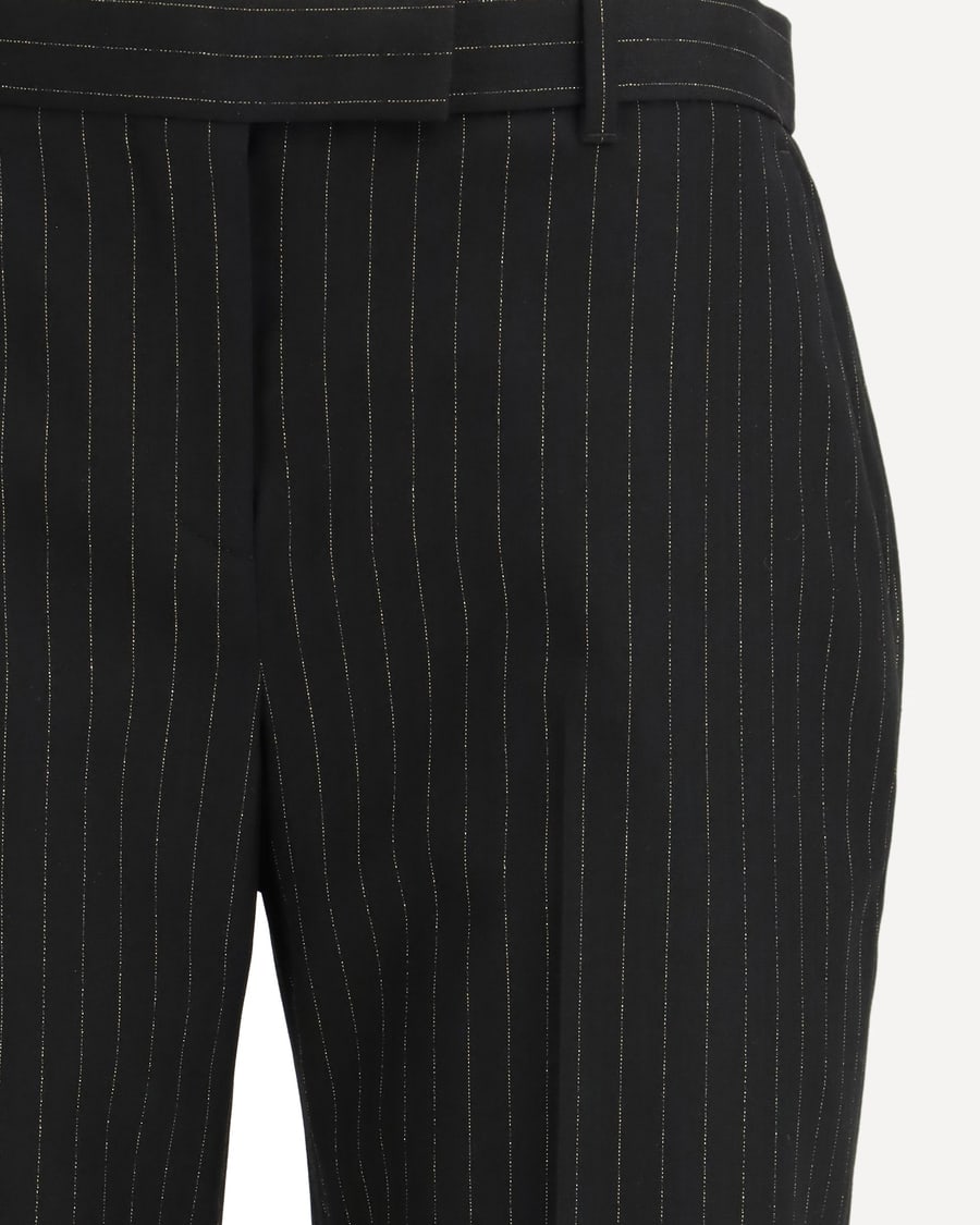 Alexander McQueen Pinstriped tailored Pants, view 5
