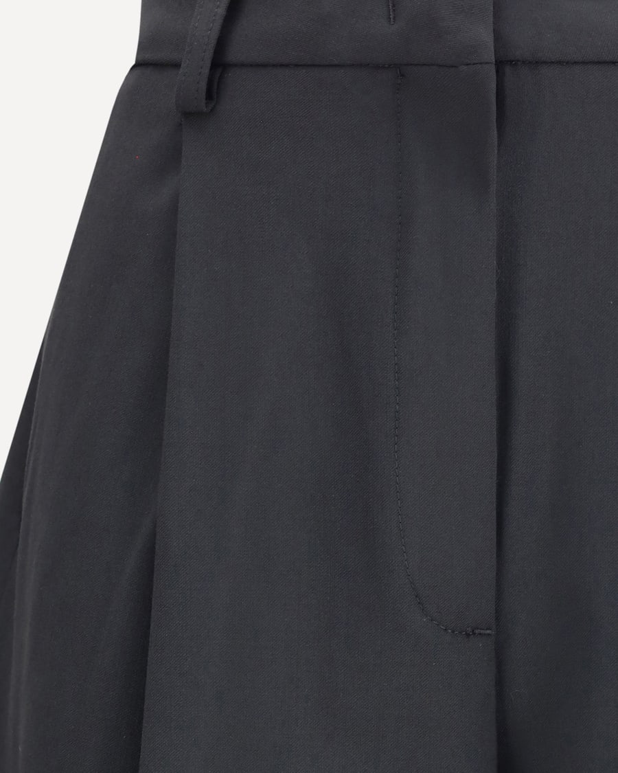THE LATEST Pleated Pants, view 5