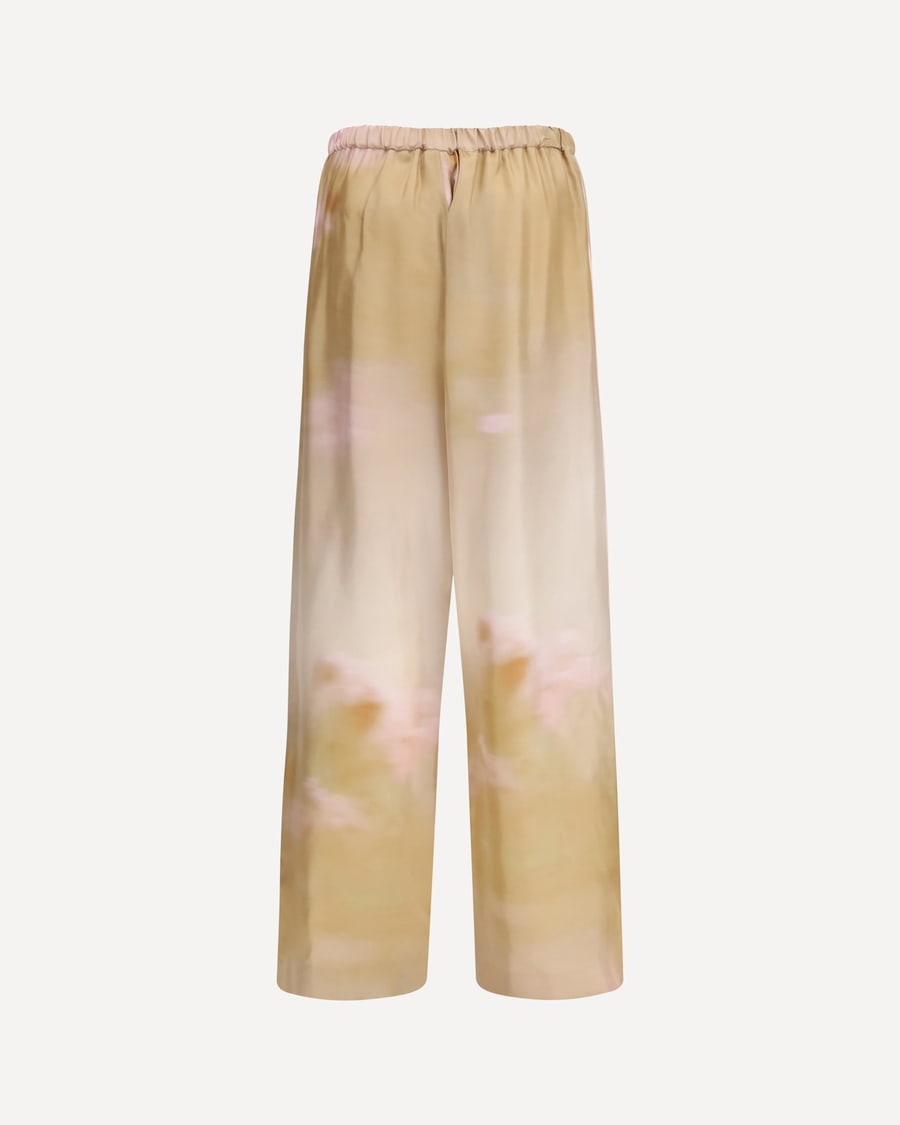 Fabiana Filippi Printed silk twill Pants, view 4