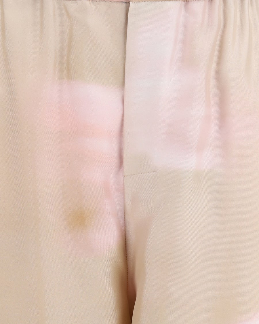 Fabiana Filippi Printed silk twill Pants, view 5