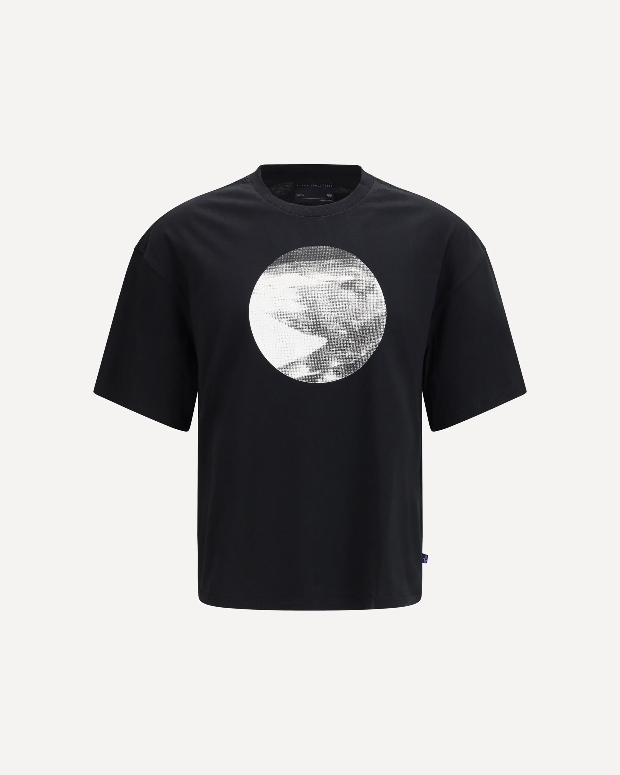 ALPHA INDUSTRIES Desert T-shirt with print