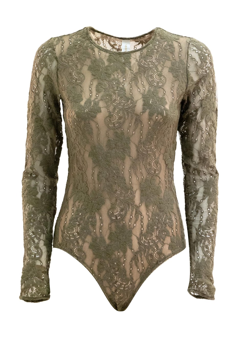 Zimmermann Body in Pizzo