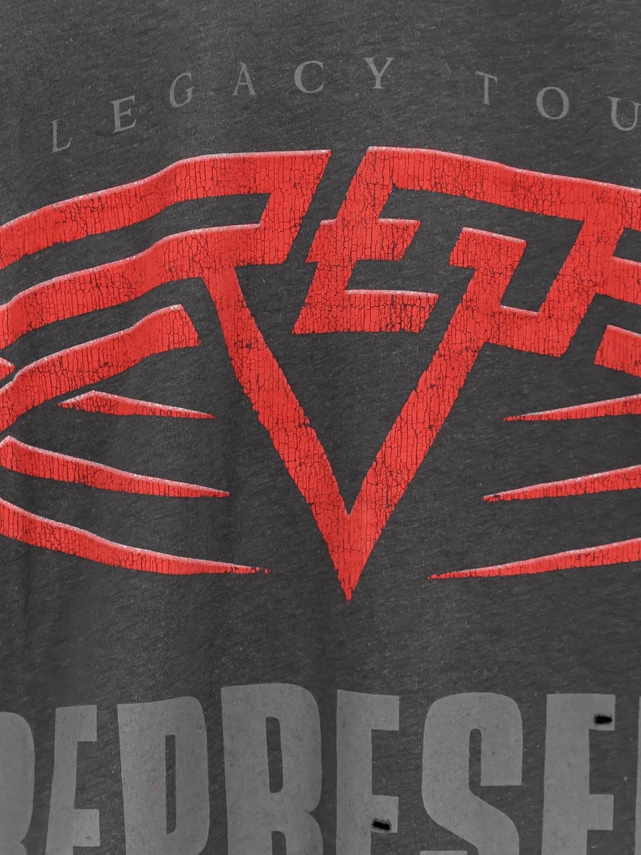 REPRESENT Living Legacy reversible organic cotton and hemp T-Shirt, view 3