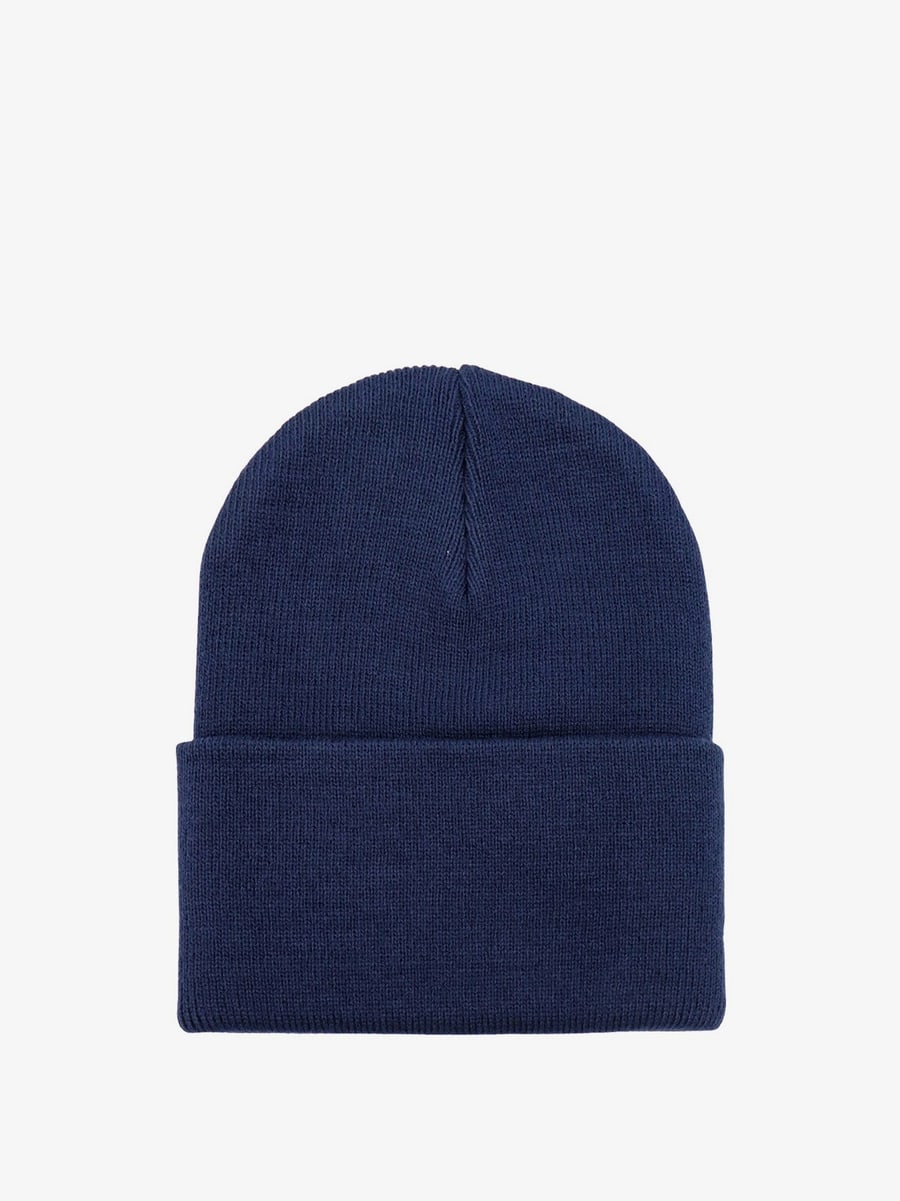 Carhartt WIP Ribbed hat, view 2