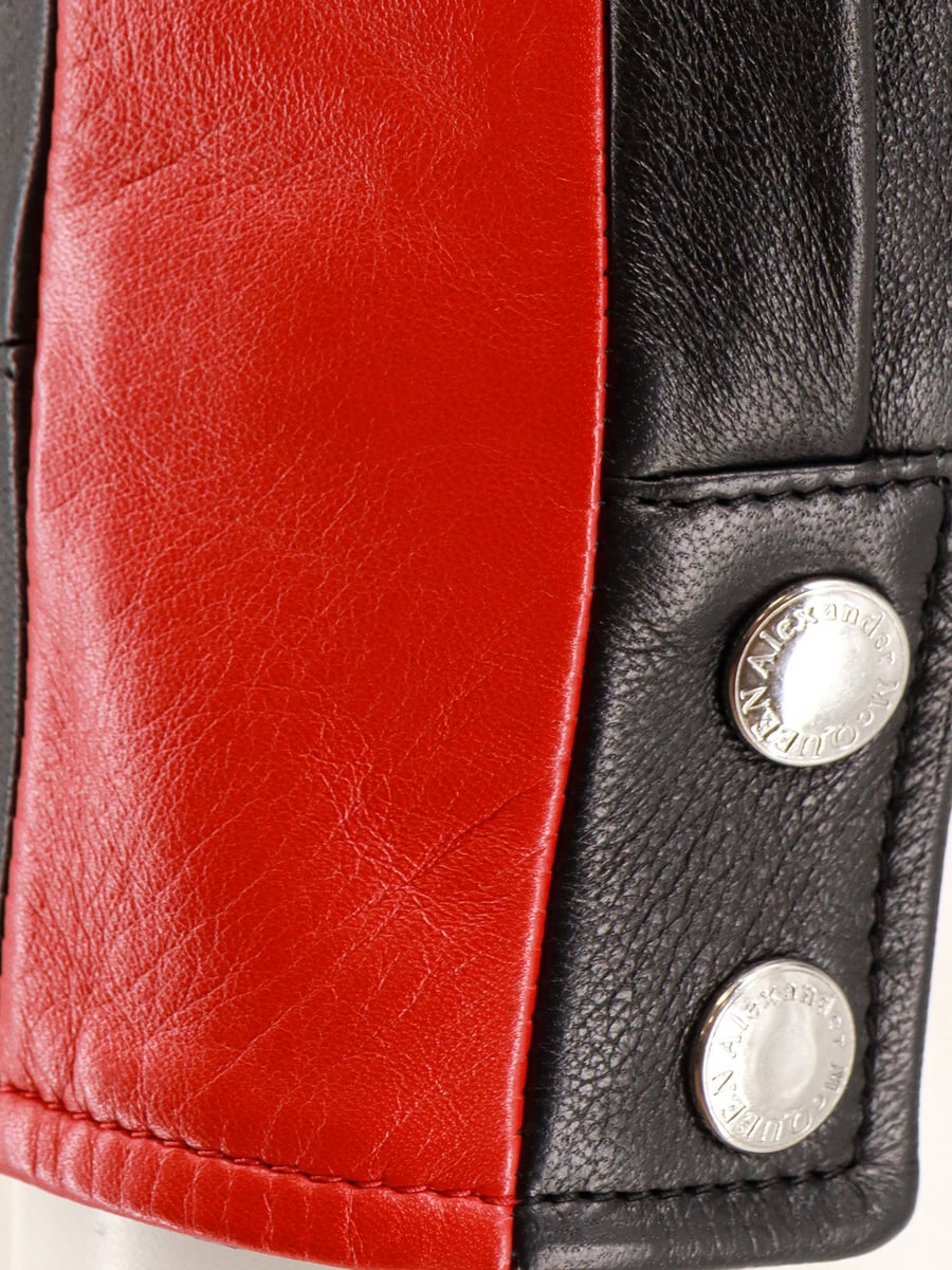 Alexander McQueen Leather jacket with contrasting bands, view 5