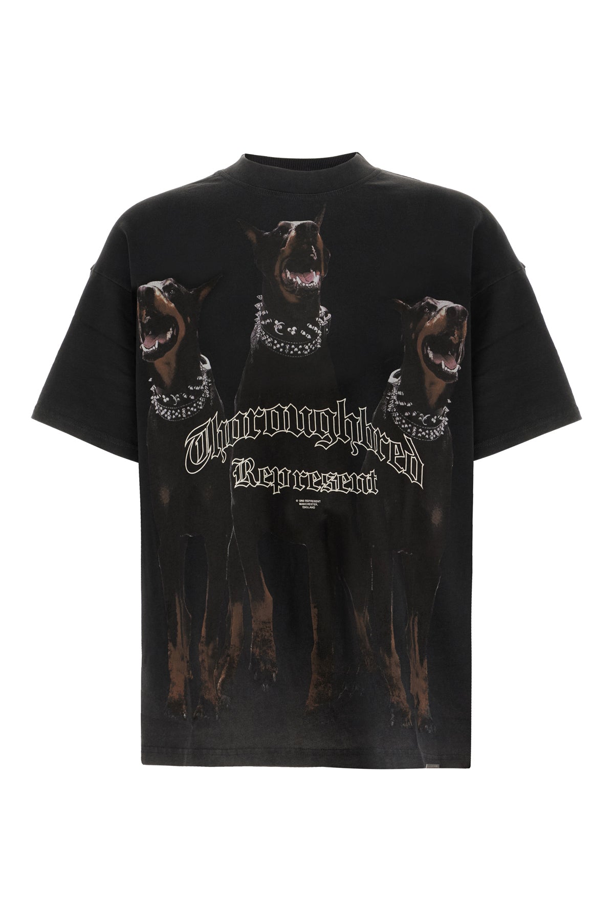 REPRESENT T-shirt in cotone ardesia