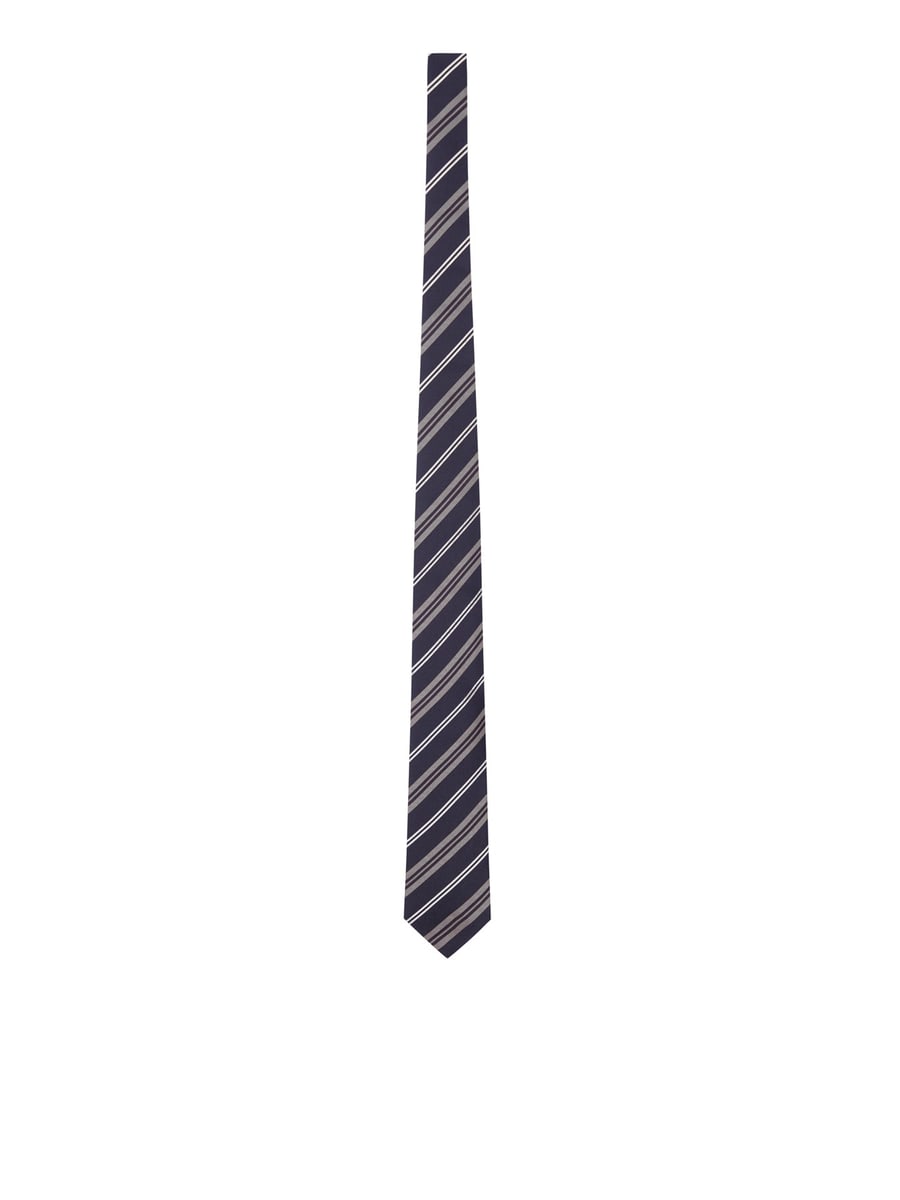 Lardini SILK TIE