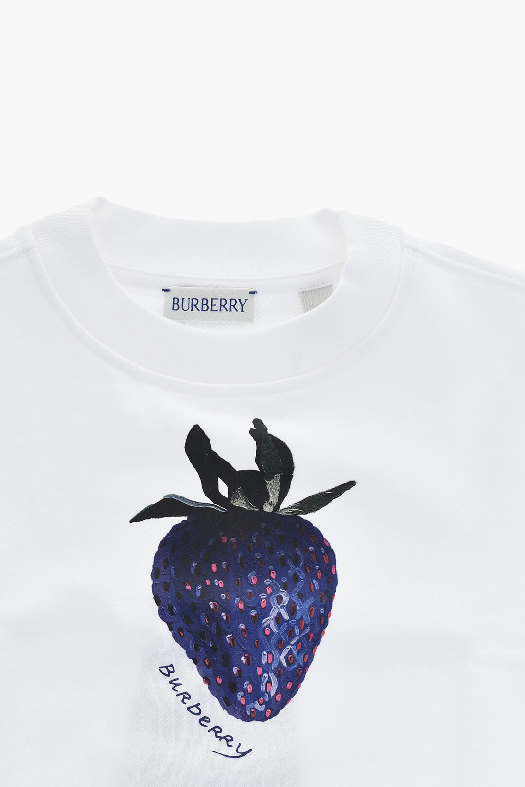 Burberry KIDS 0405~Cotton Crewneck Sweatshirt MATHEW with Print, view 2