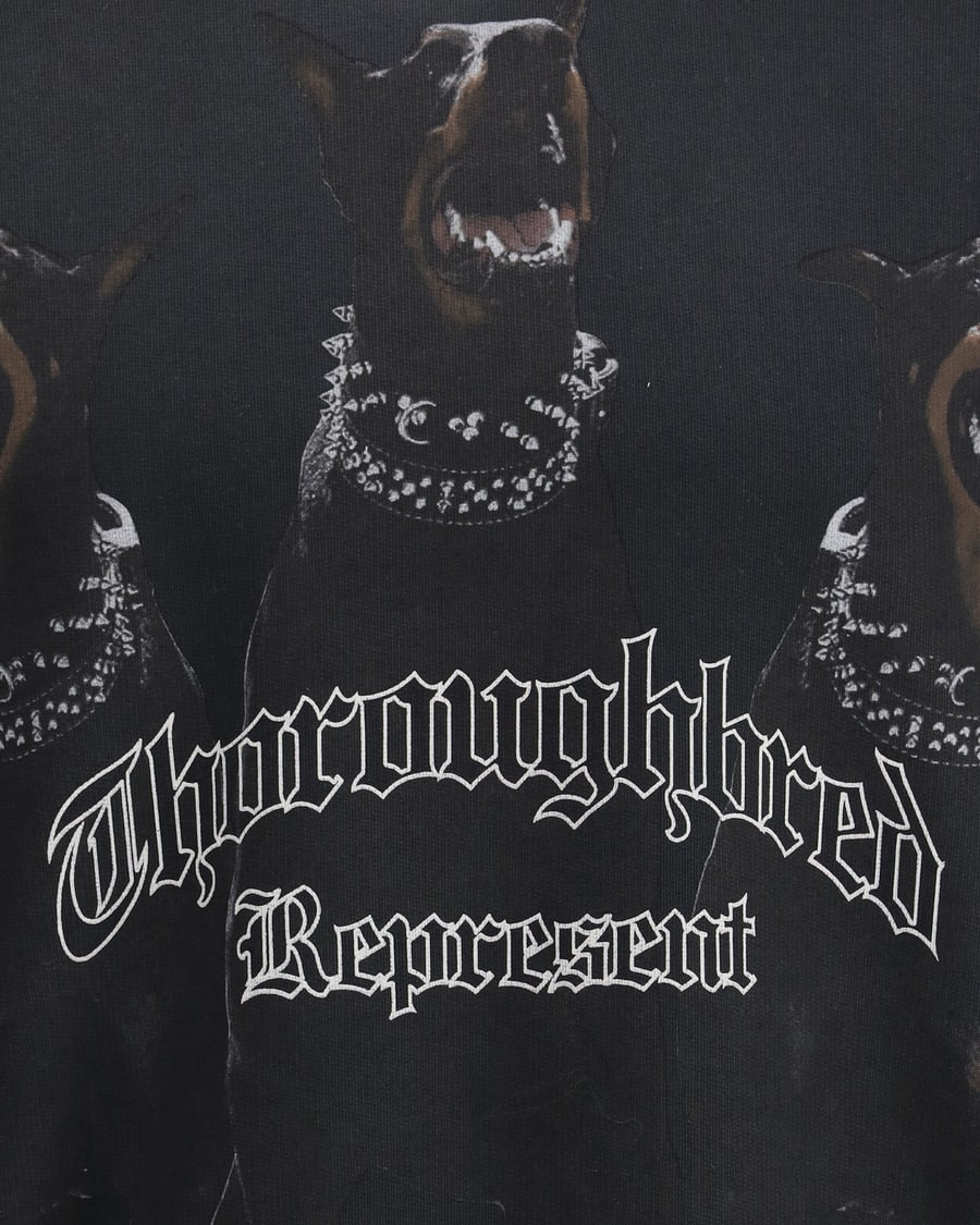 REPRESENT Thoroughbred Hoodie, view 5