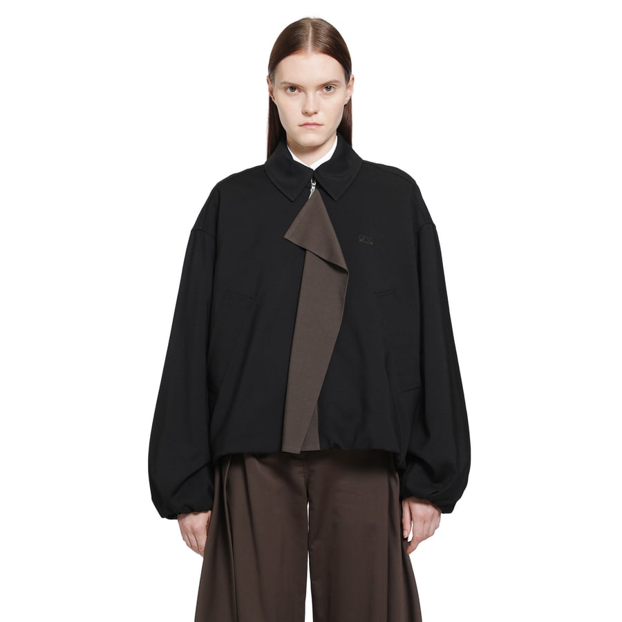 Loewe Viscose Wool Harrington Jacket, view 7