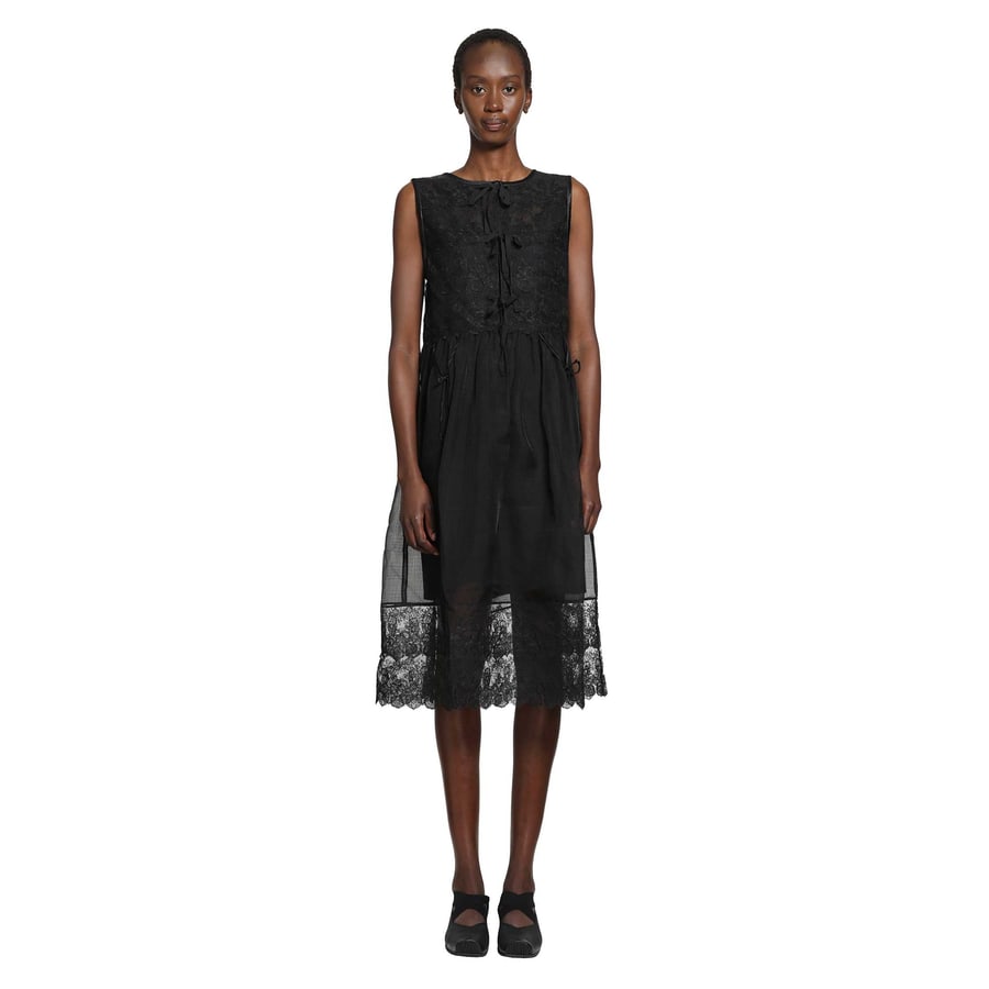RENLI SU Silk Sheer Lace Mini Dress, view 6
