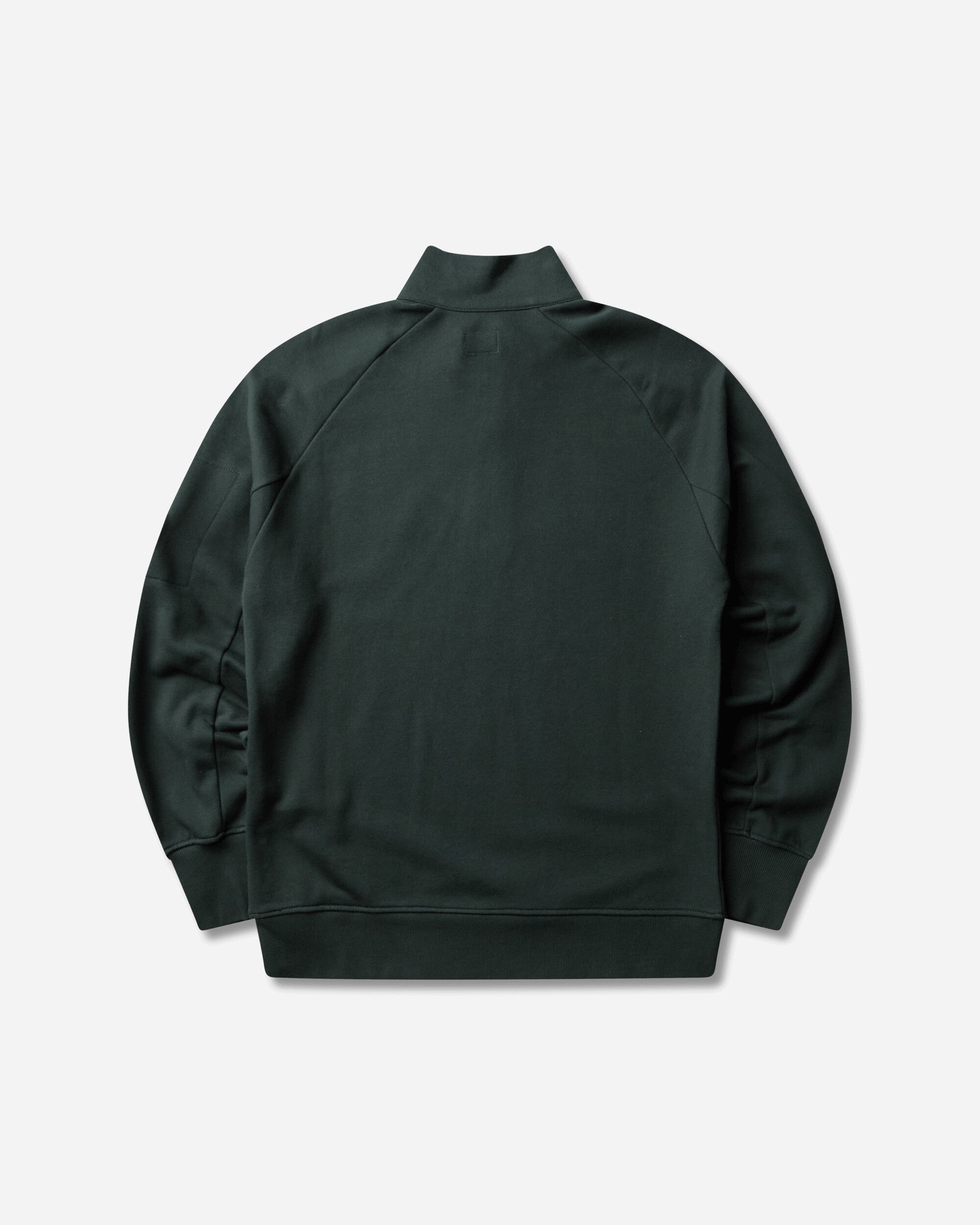 C.P. Company Men's Diagonal Raised Fleece Half Zip Sweatshirt Ponderosa Pine, view 2