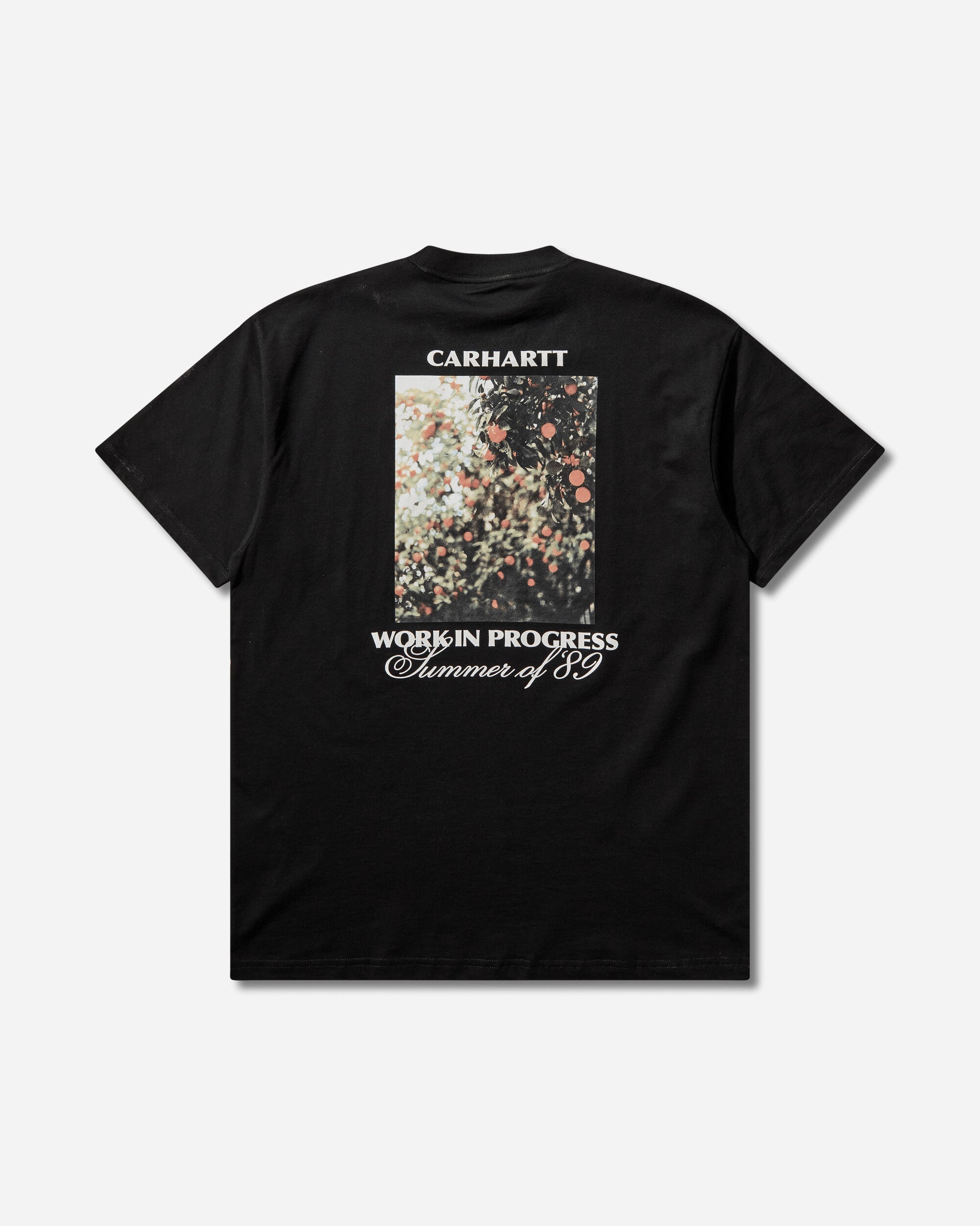 Carhartt WIP Men's Warm Views T-Shirt Black, view 2
