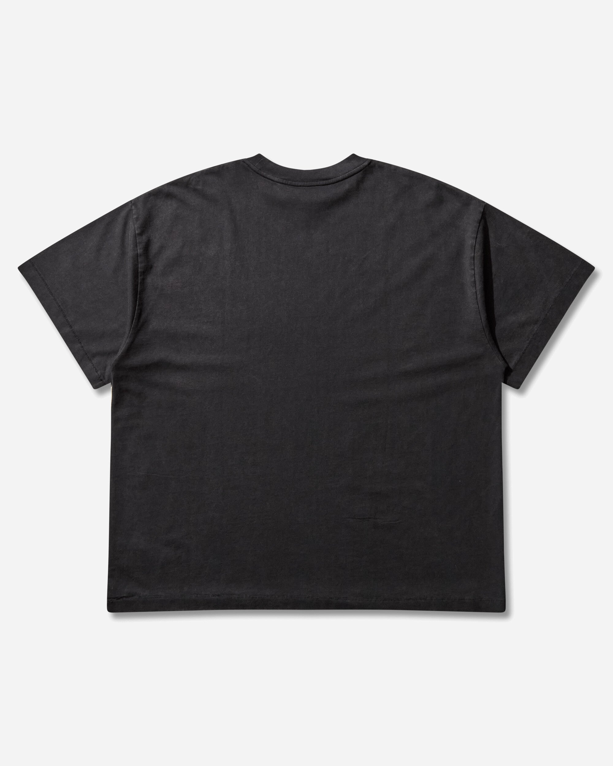 Vans Act of Disagreement Brushed Logo T-Shirt Washed Black, view 2