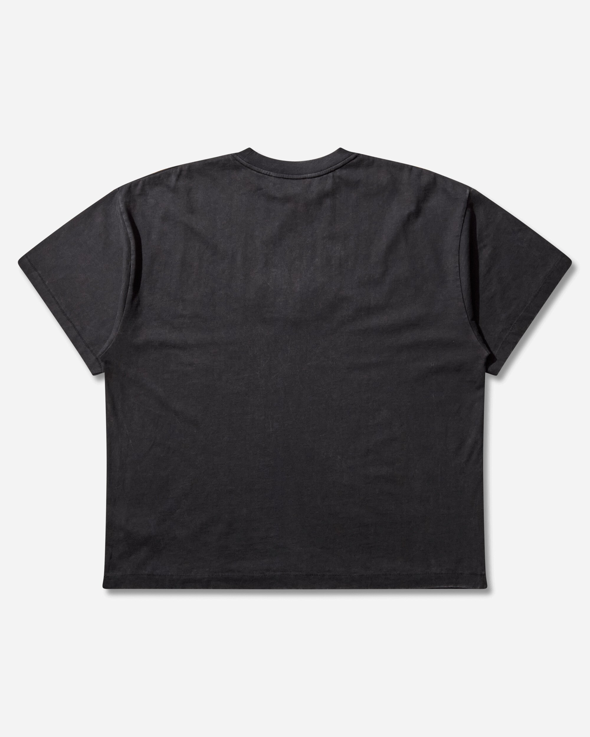Vans Act of Disagreement Oval Logo T-Shirt Washed Black, view 2