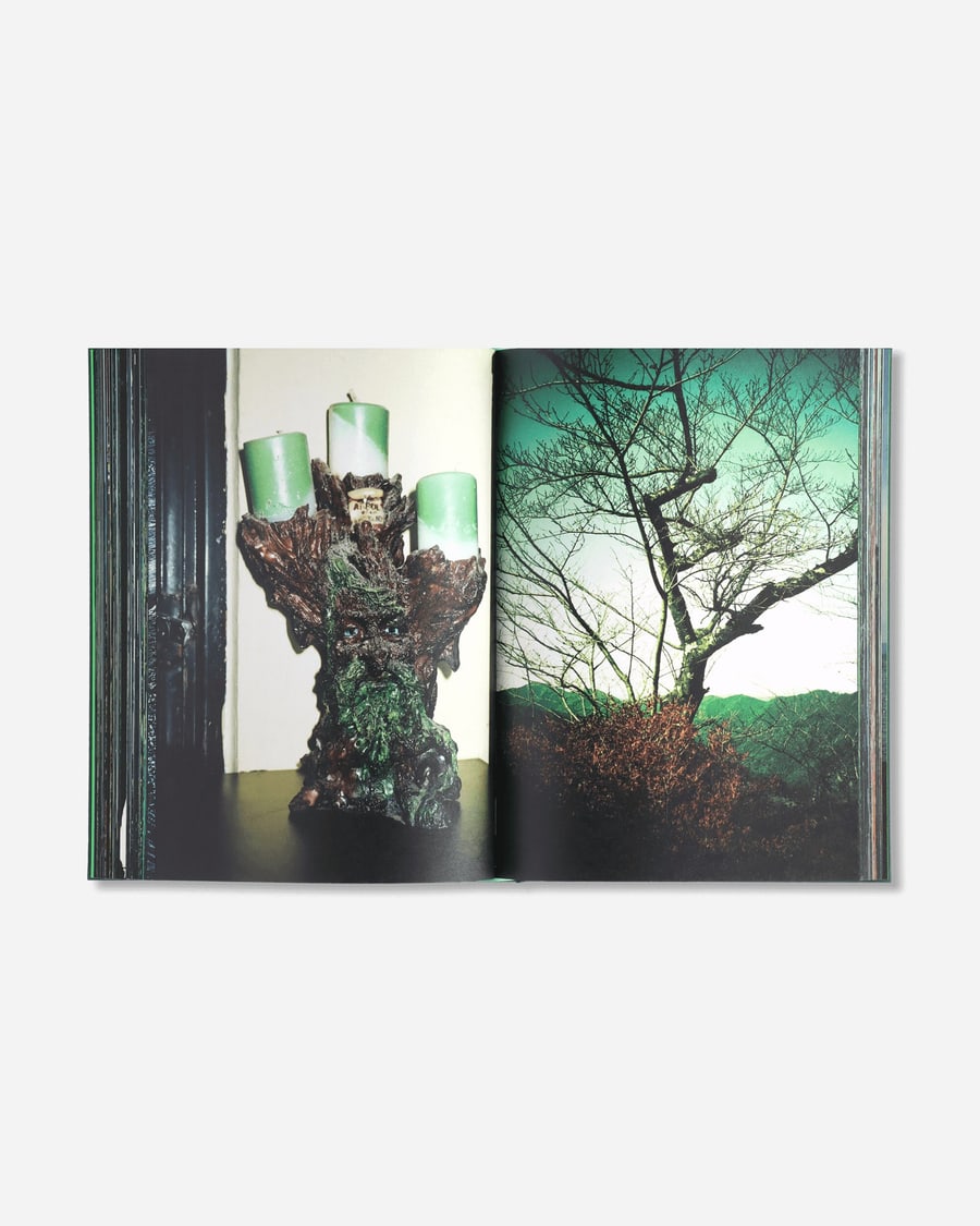 PSY LYF Misha Hollenbach Book / B, view 3