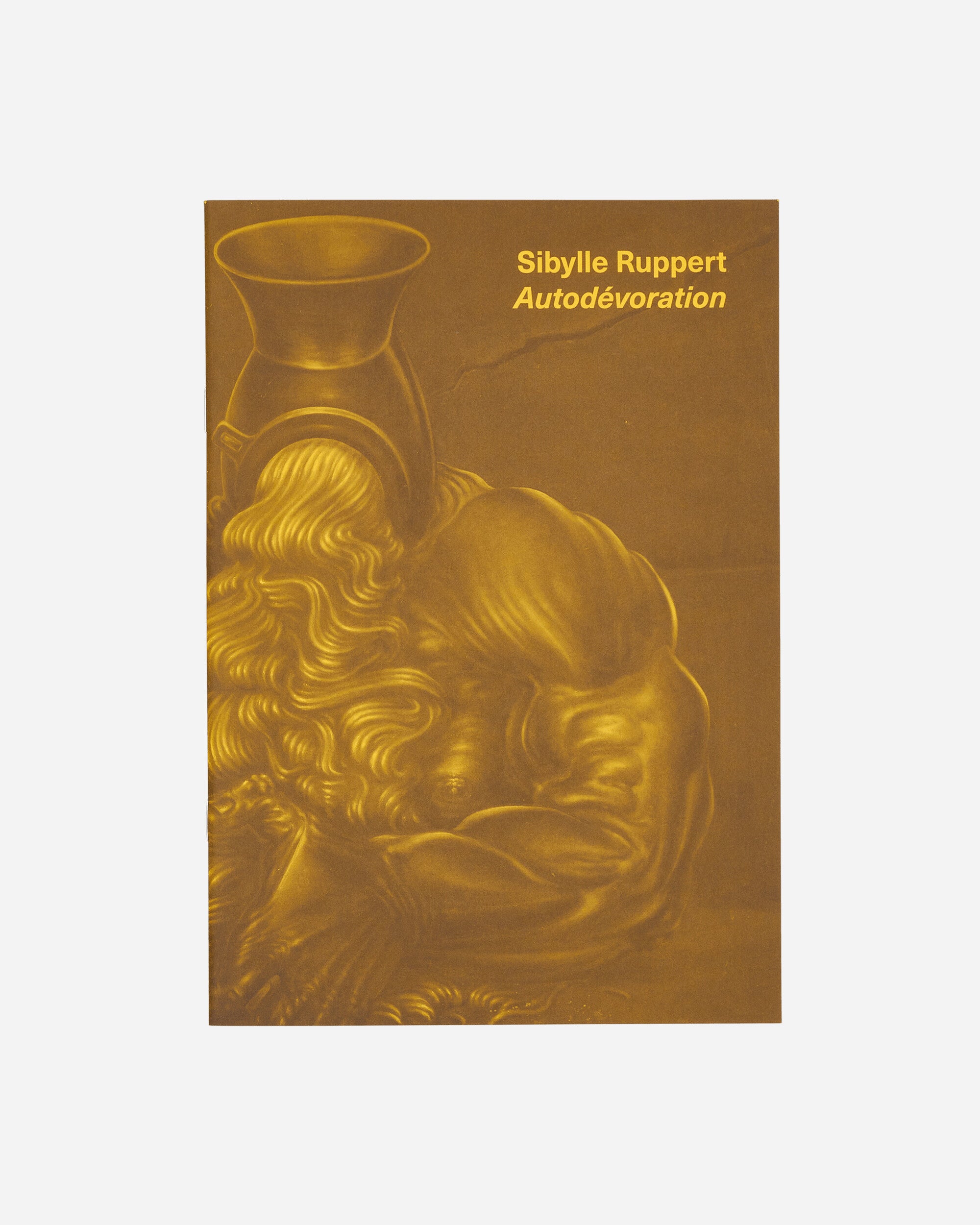 Innen Publishing Sybille Ruppert - Autodévoration Zine