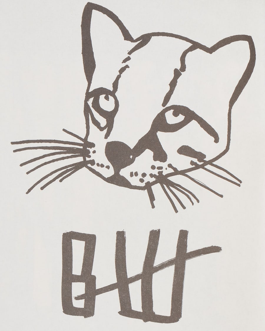 Innen Publishing Bernhard Willhelm: Willhelmtown Zine, view 5