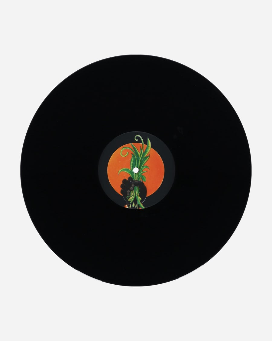 Public Possession Magic Carnaval Vinyl, view 4