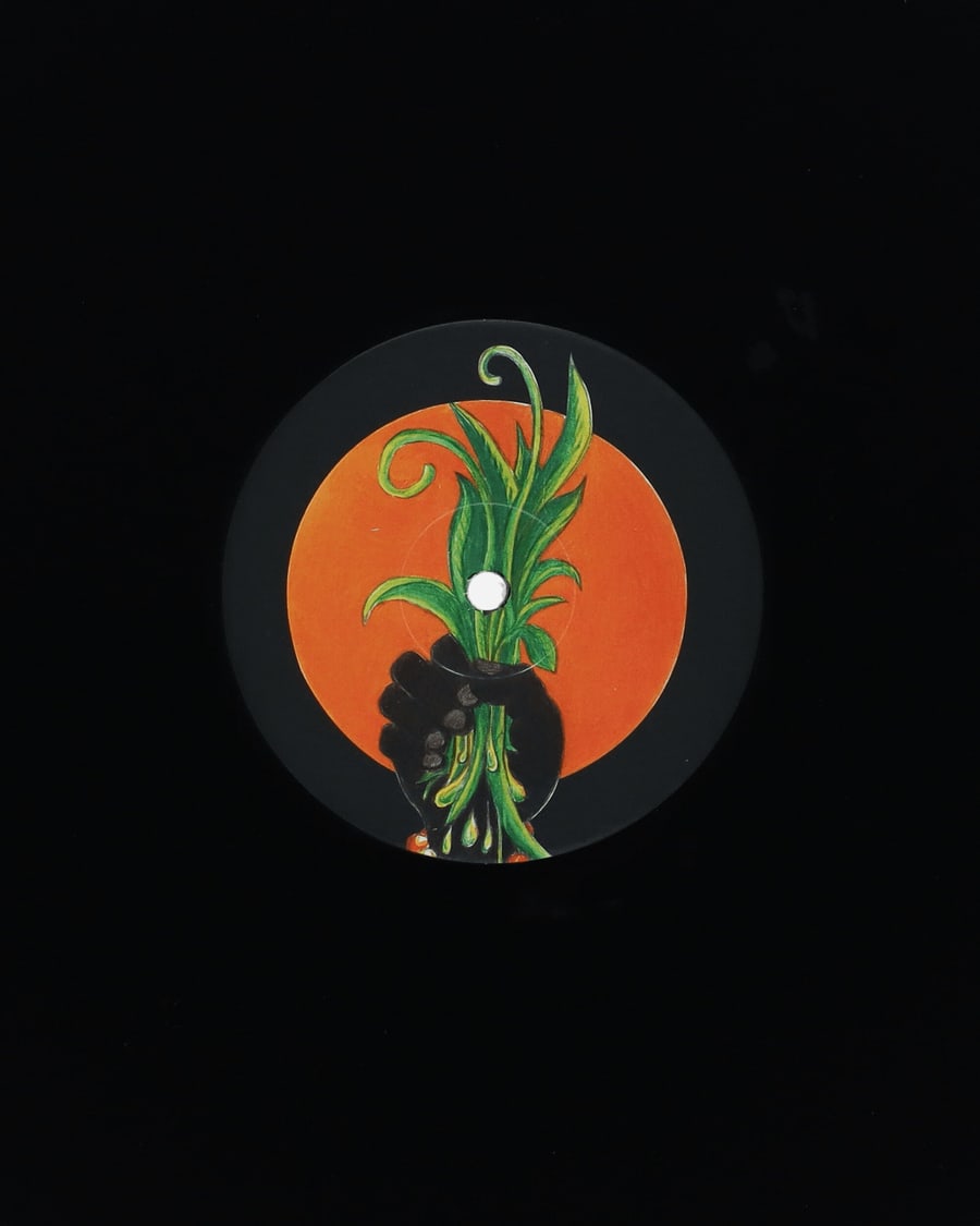 Public Possession Magic Carnaval Vinyl, view 5