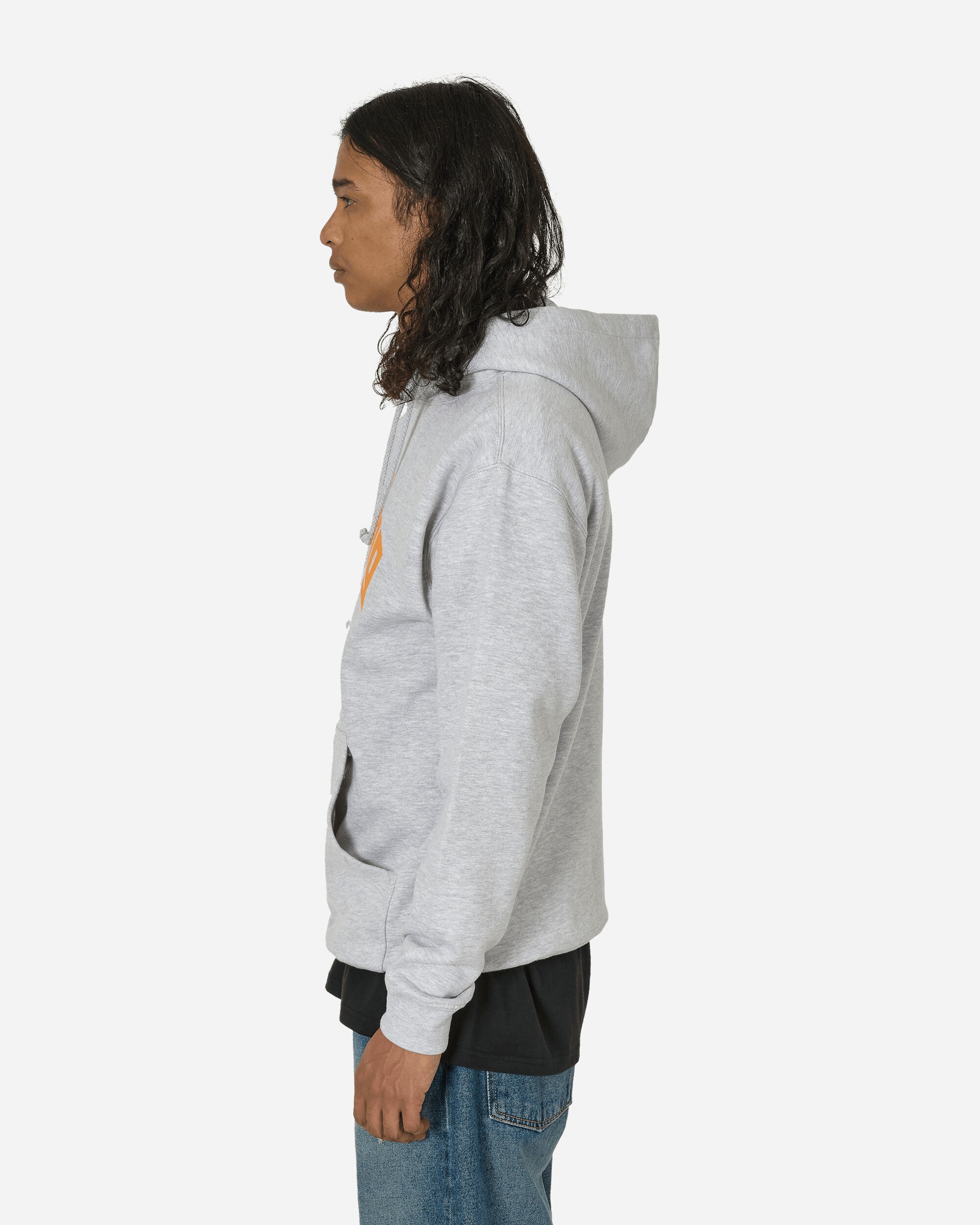 aNYthing Curved Logo Hoodie Heather Grey, view 2
