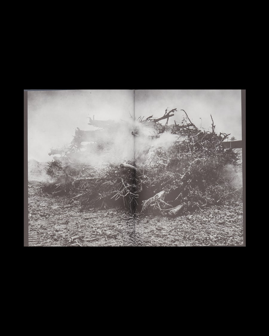 Studio Blanco To Belong Book Multicolor, view 4