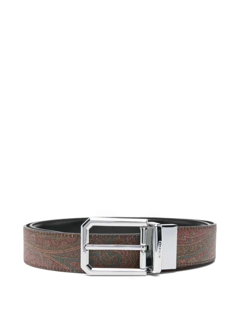 Etro Reversible Belt Arnica, view 2