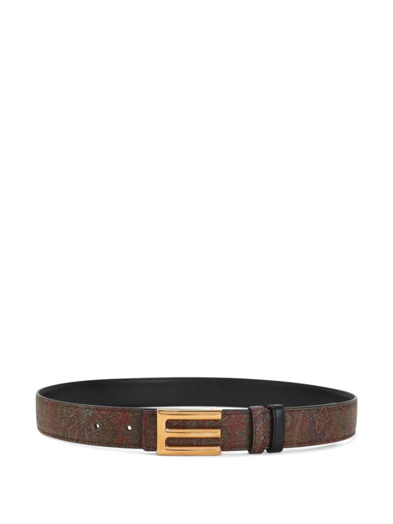 Etro Reversible Logo Belt Arnica, view 2