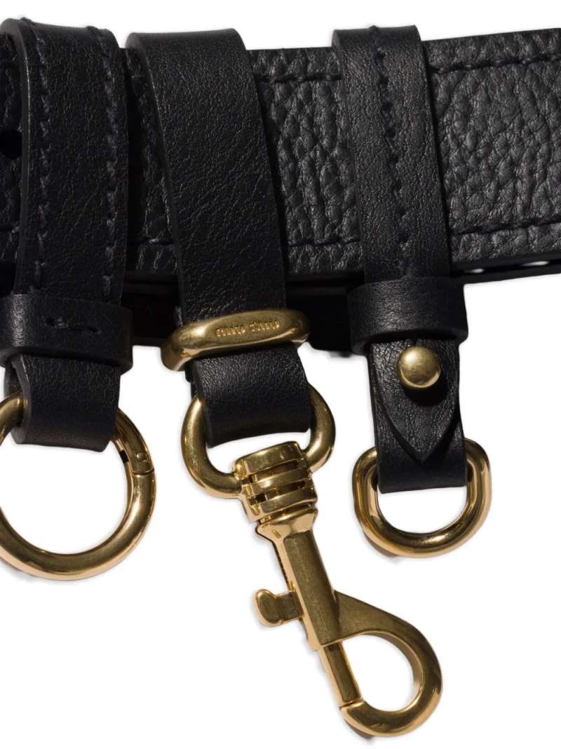 Miu Miu Belt, view 3